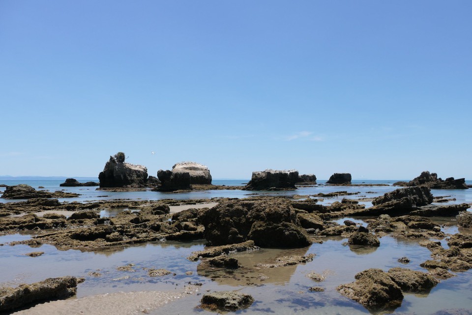 Neuseeland - Clifton - 