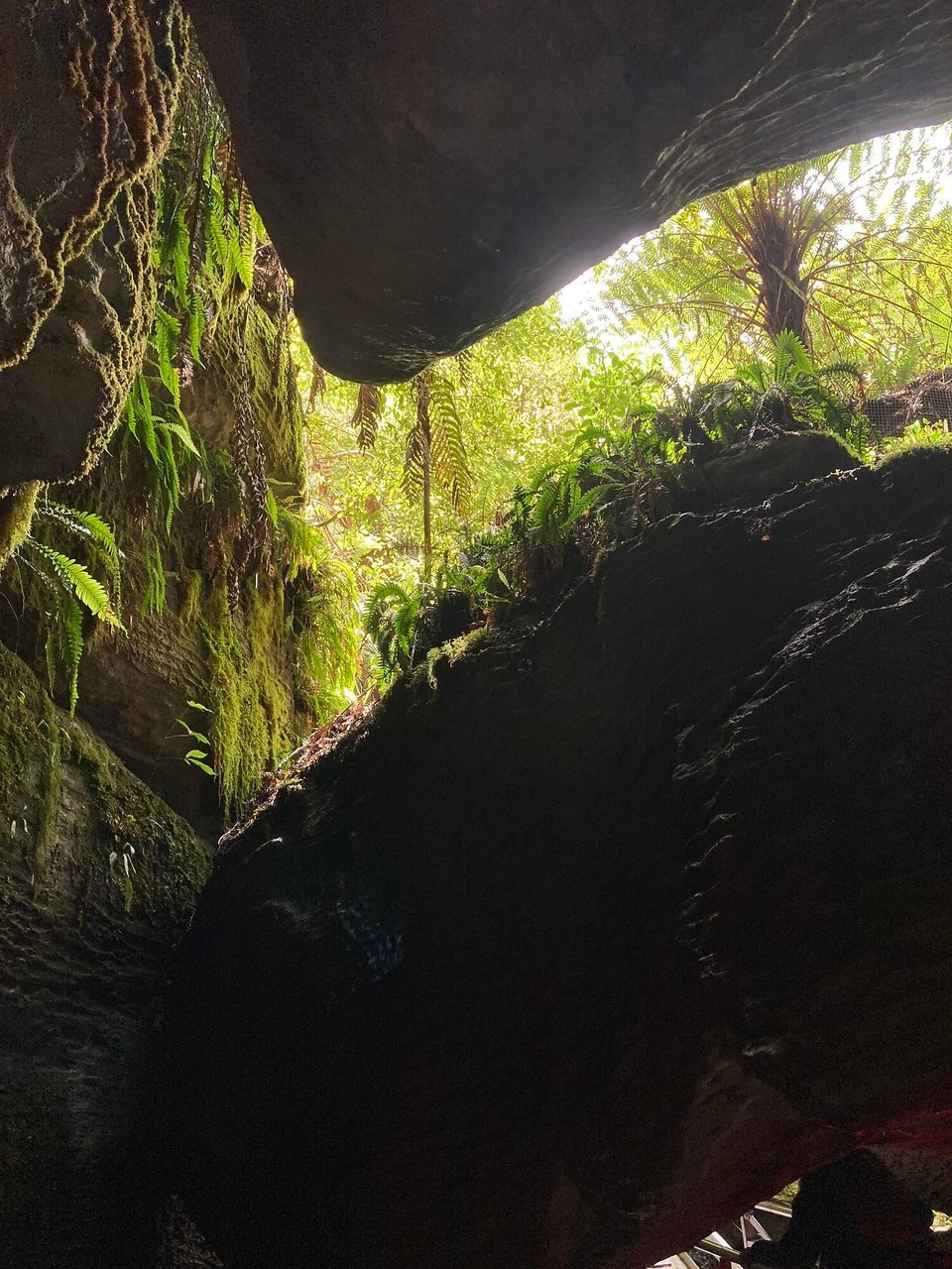 Neuseeland - Fiordland National Park - Zurück ans Tageslicht