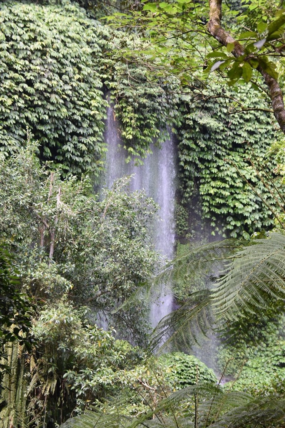 Indonesien - Kabupaten Lombok Timur - Endlich angekommen, der „Benang Stokel Wasserfall“.