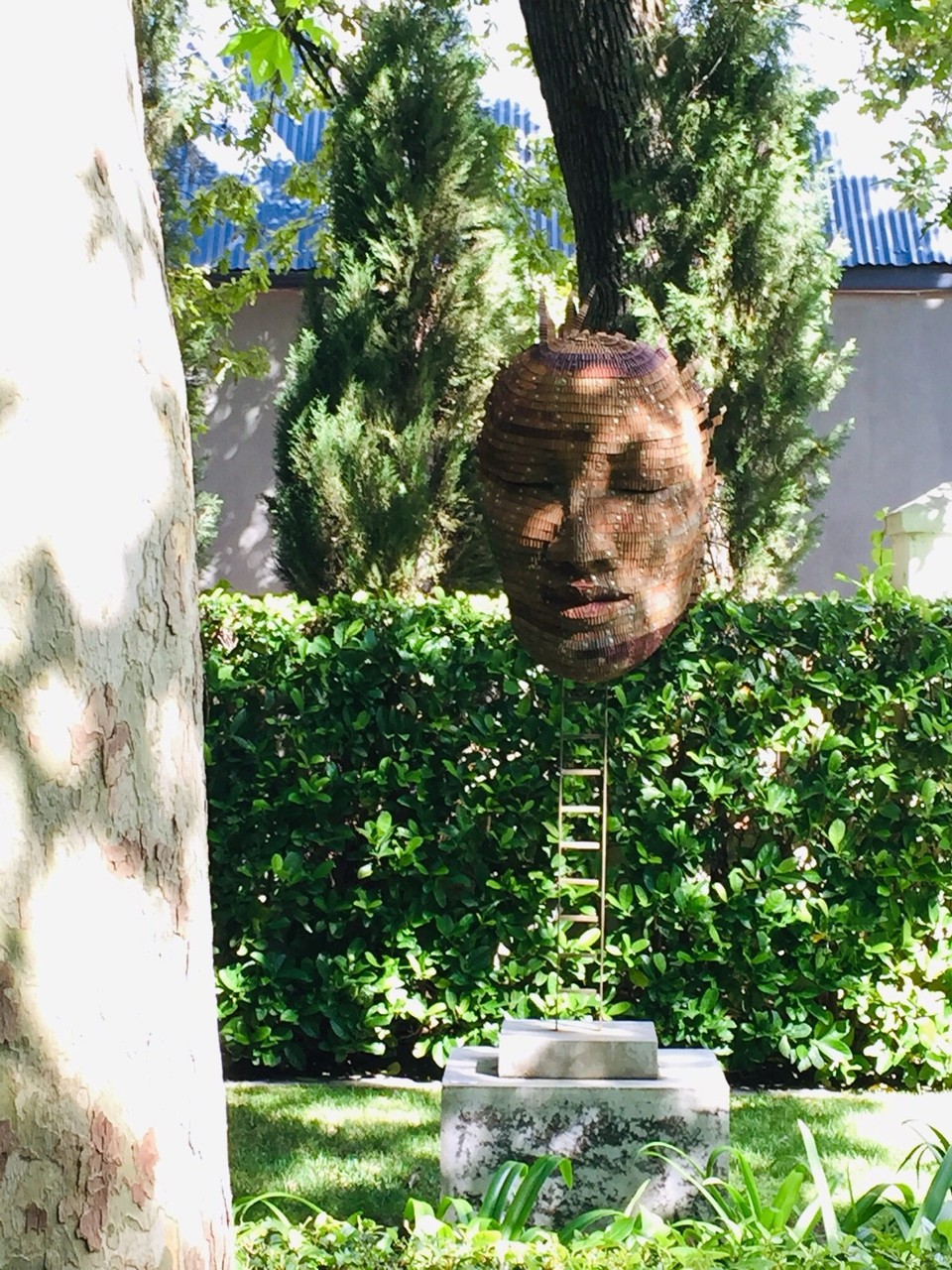 Südafrika - Stellenbosch - 