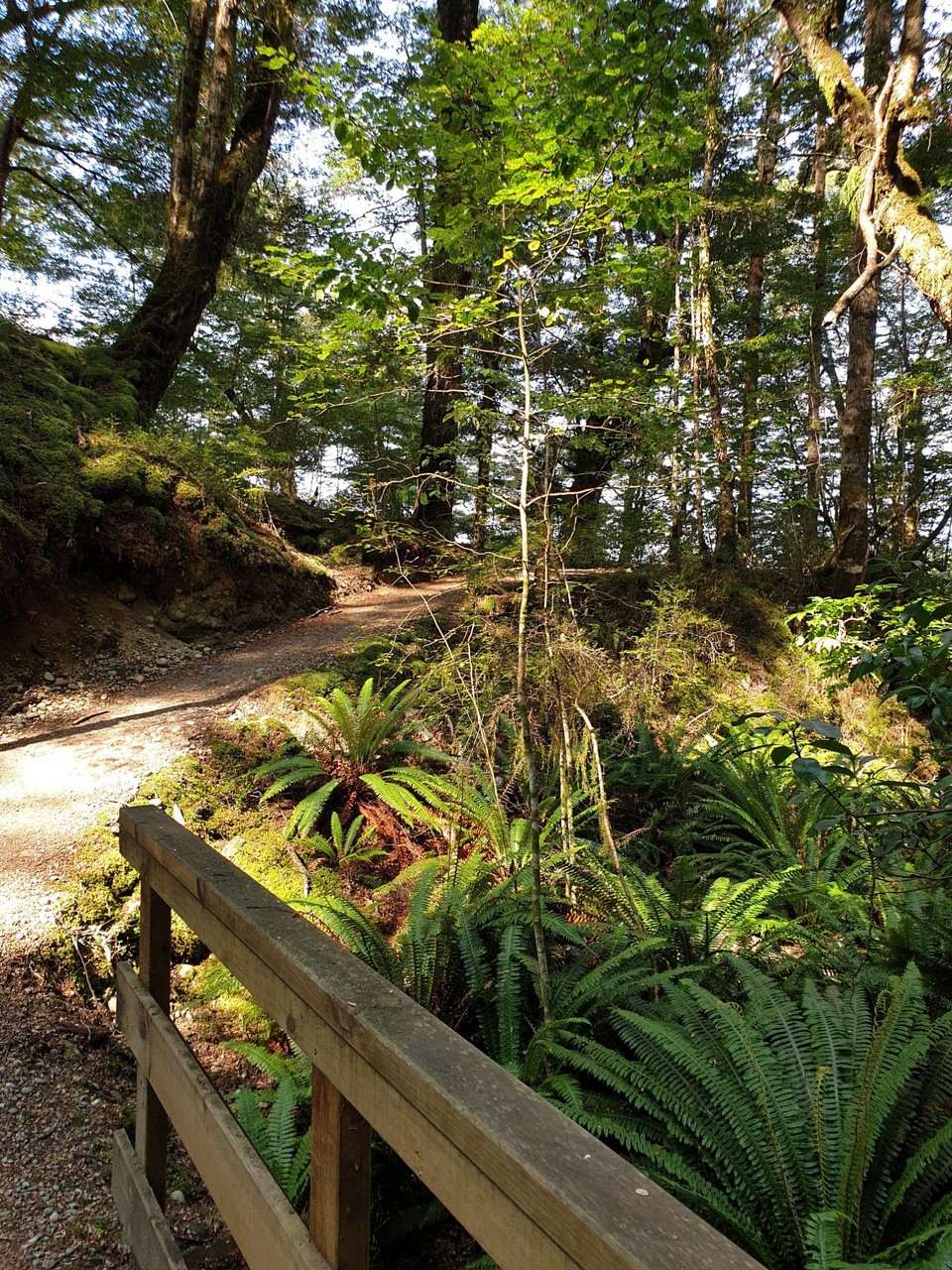 Neuseeland - unbekannt - 