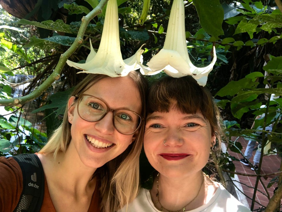 Thailand - Tambon Tha Wang Tan - Riesenblüten… 🌳
