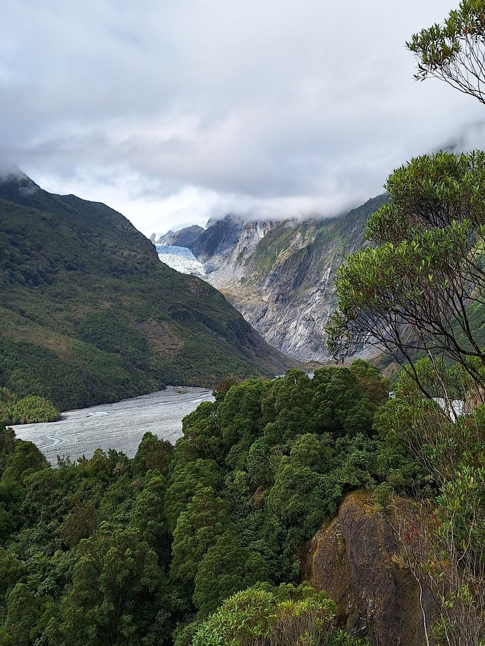 Neuseeland - Franz-Josef-Gletscher - 