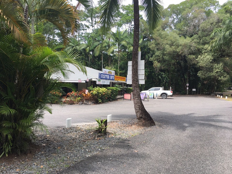 Ausztrália - Cape Tribulation - 