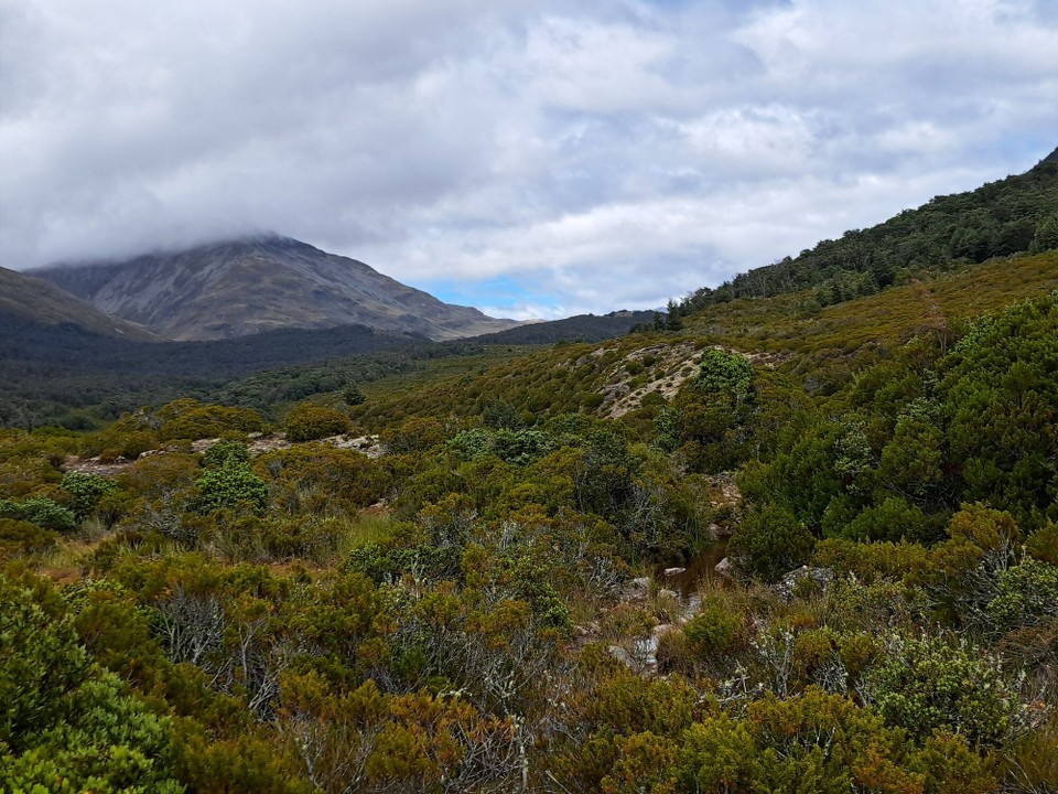 Neuseeland - Greenstone - 