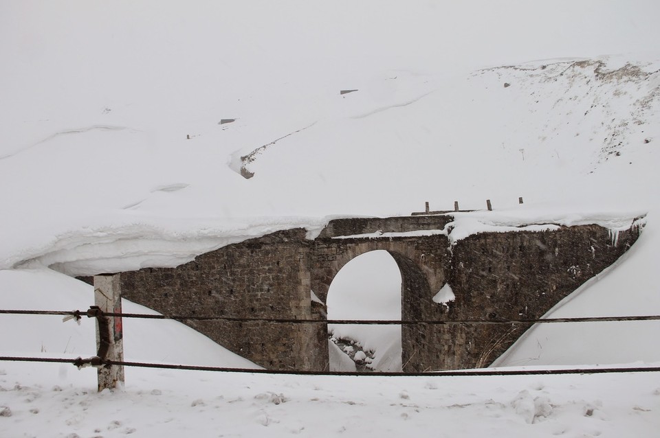 Georgia - Mkinvartsveri - 