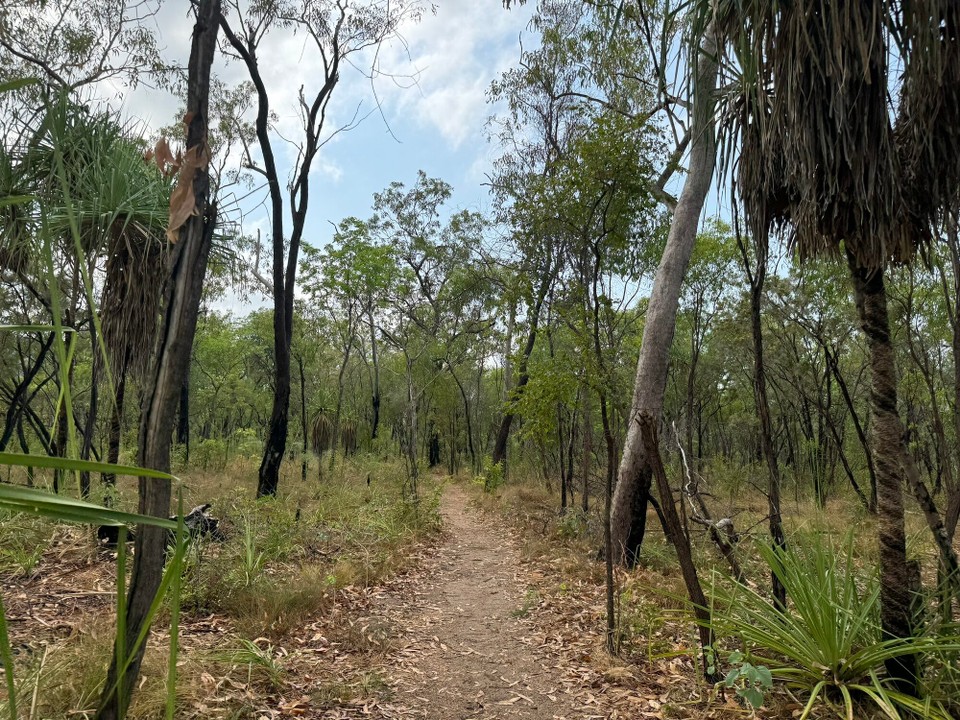 Australien - Kakadu - 