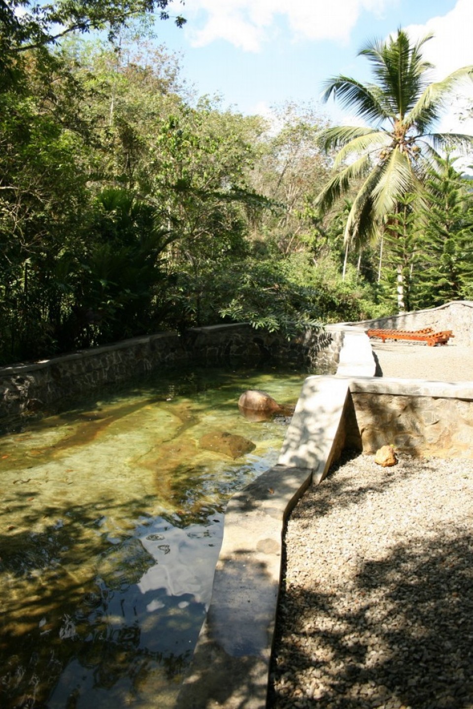 Sri Lanka - Yattapatha - Pelawatta - 