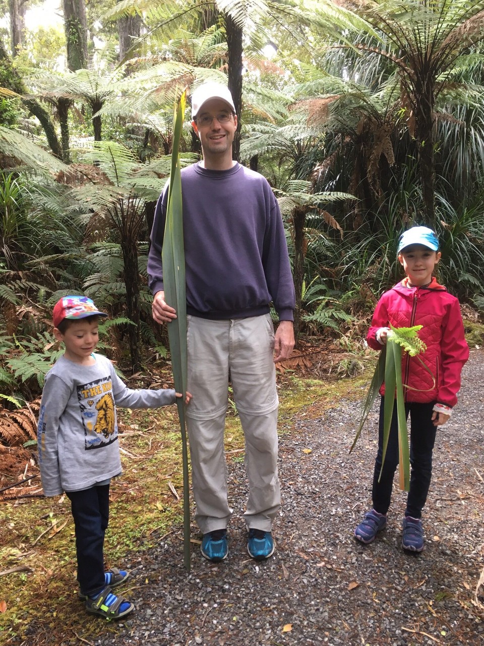 Neuseeland - Haast - Die Pflanze ist fast höher als Roman.