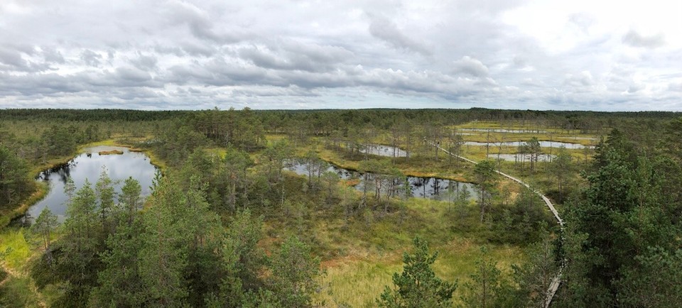 Estland - Vihula - 