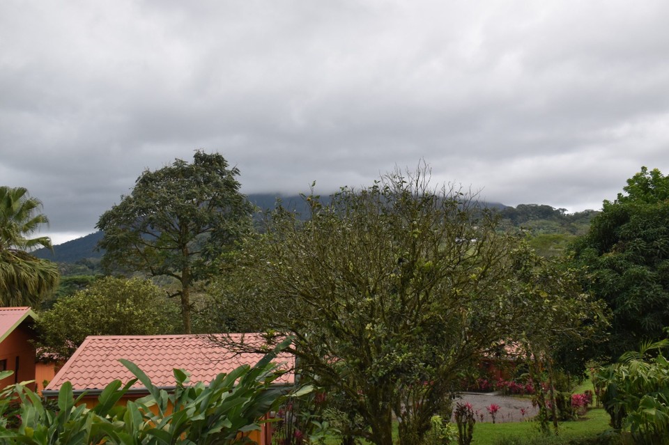 Costa Rica - San Carlos - Vulcan Arenal leider immer noch im Nebel. Er ist der jüngste und zugleich aktivste Vulkan in Costa Rica, der letzte große Ausbruch war 1968, doch 2010 war seine Eruption so stark, das der Nationalpark evakuiert wurde. Also heute Nacht nicht husten und keine lauten Geräusche.