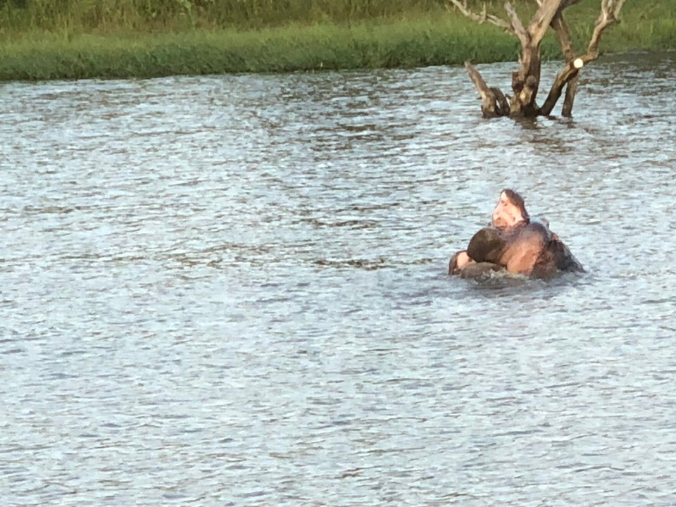 Südafrika - Richards Bay - 
