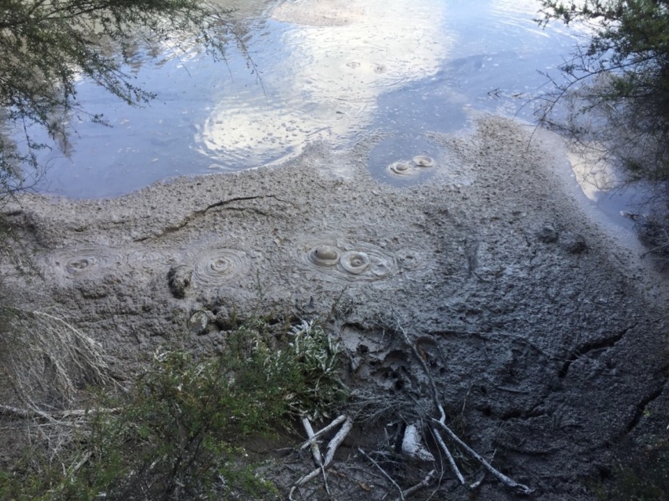 Neuseeland - Rotorua - 