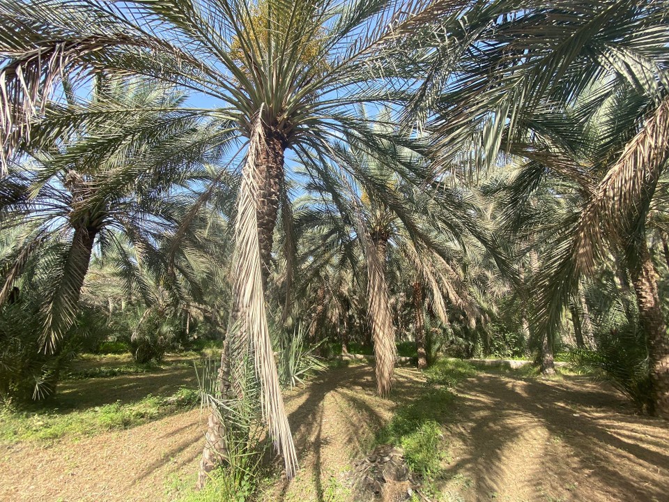 Oman - Bawshar - 