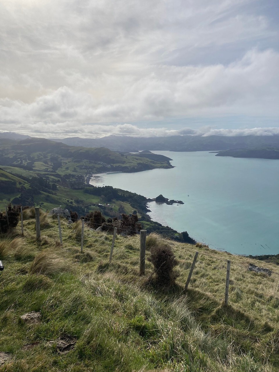 Neuseeland - Little River - 