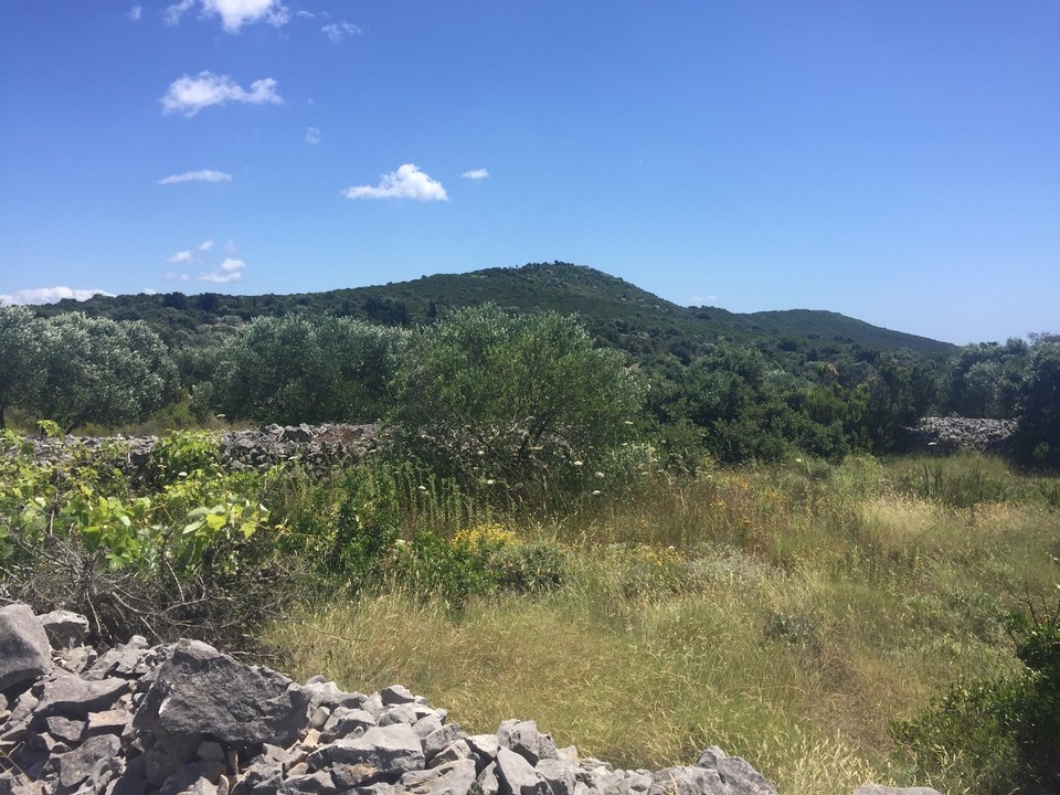 Kroatien - Zverinac - Da oben wollten wir eigentlich hin. Aber von unten sieht er auch gut aus.