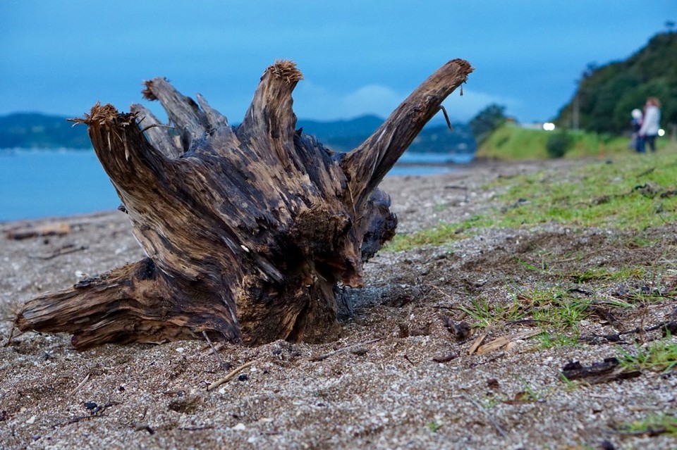 Neuseeland - Paihia - 