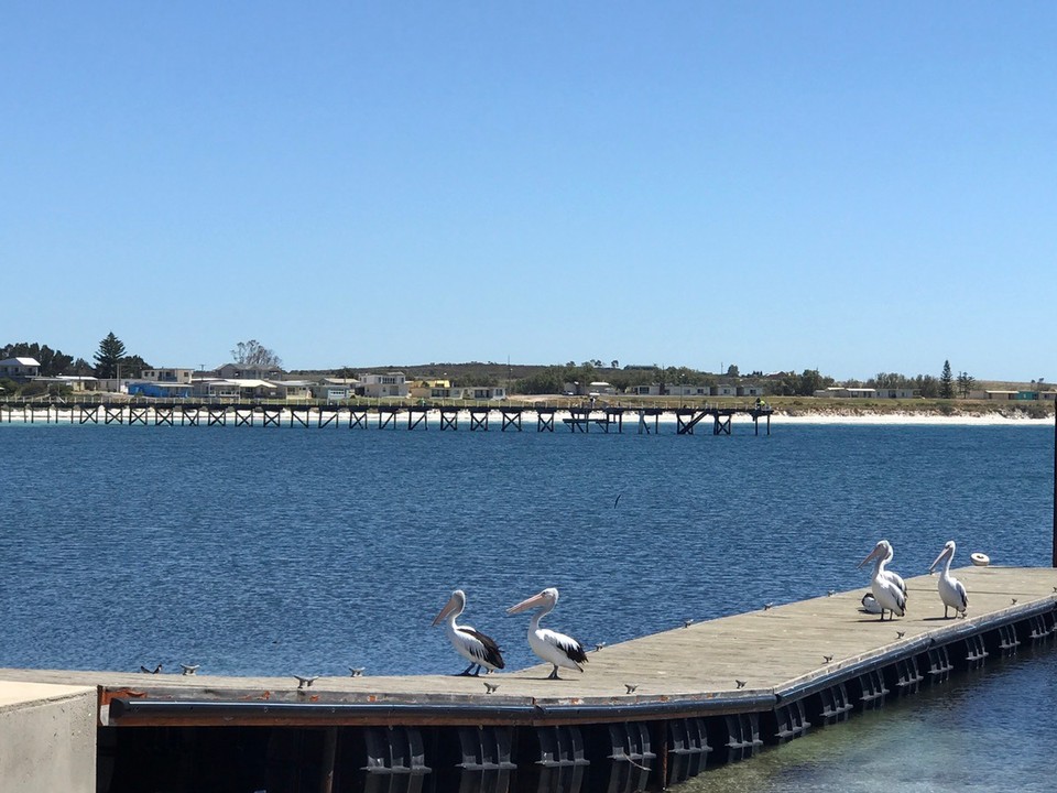  - Australia, Port Neill - 