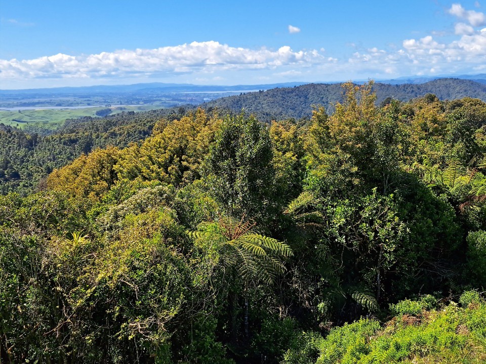 Neuseeland - Ngāruawāhia - 