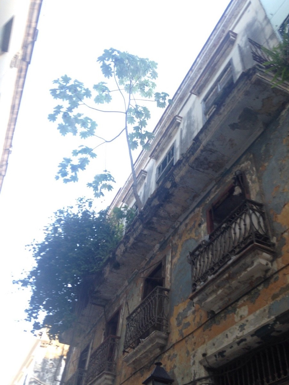 Cuba - La Habana - 
