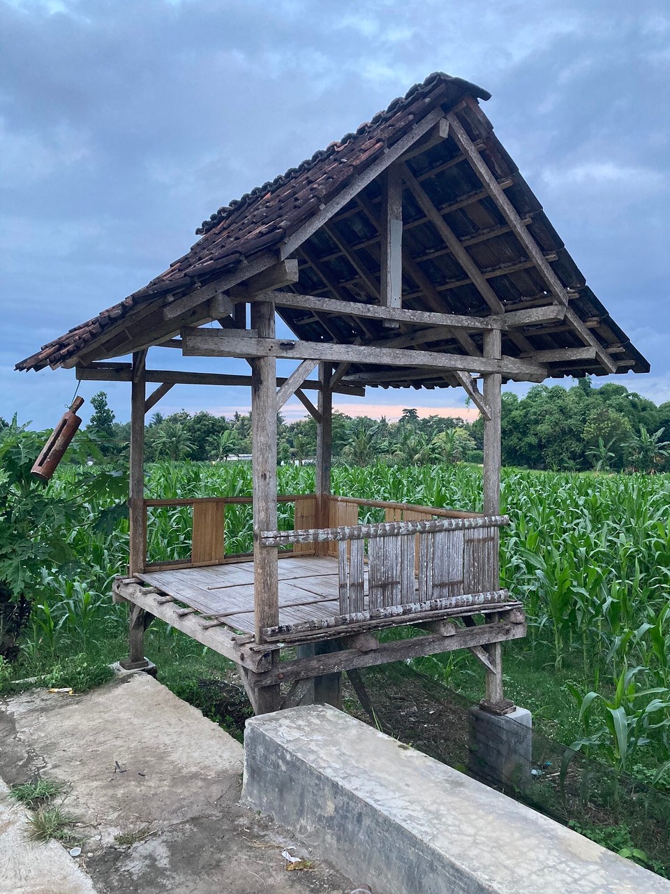 Indonesien - Banyuwangi - 