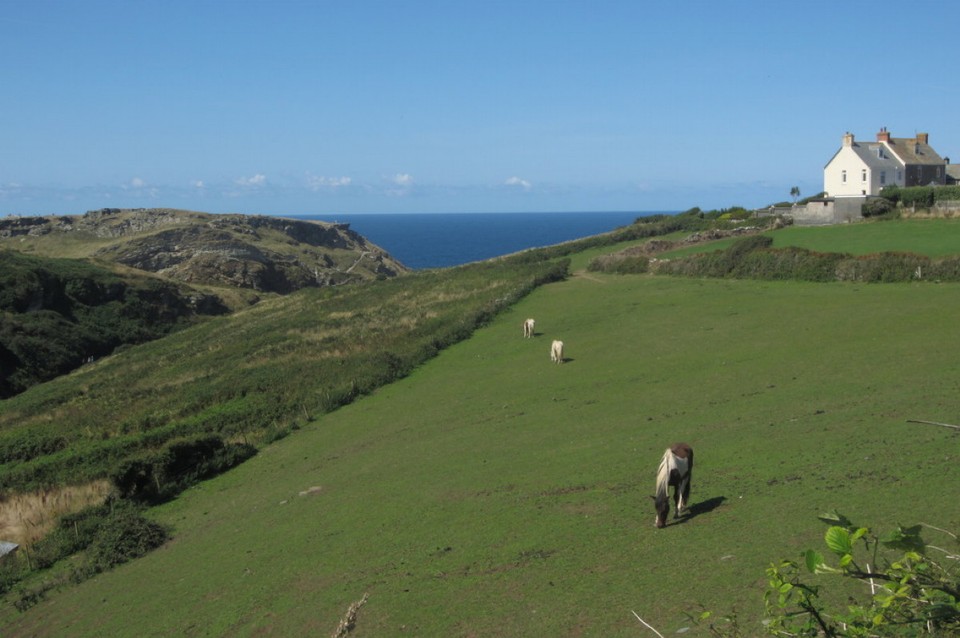 Vereinigtes Königreich - Tintagel - 