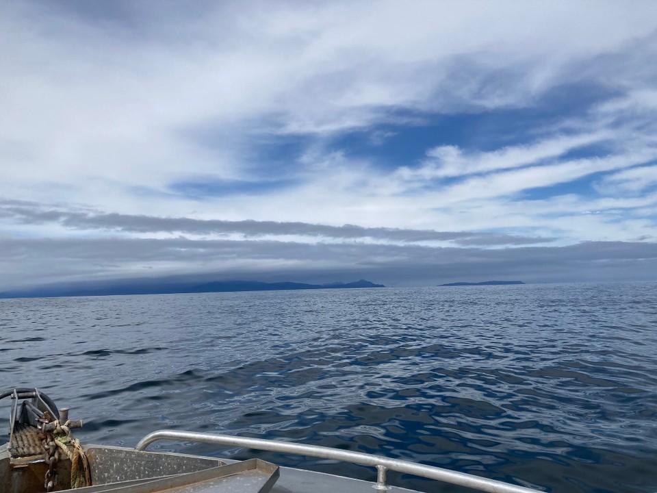 Neuseeland -  - 