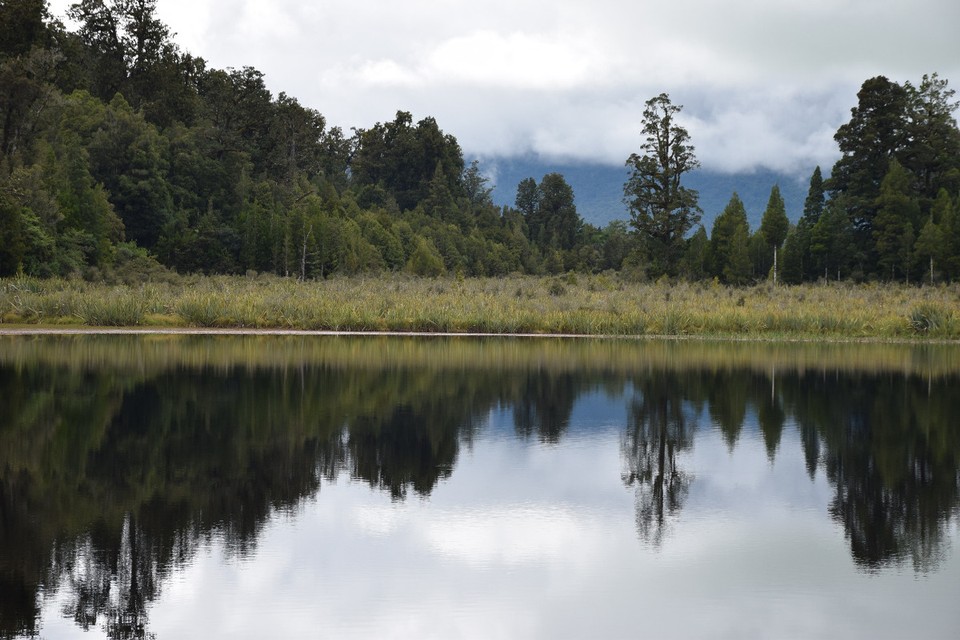 Neuseeland - Lake Matheson - 