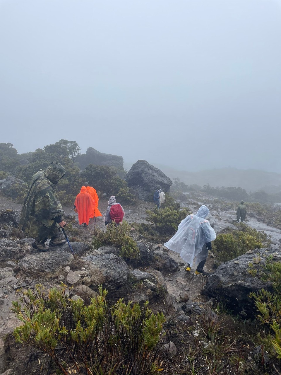 Costa Rica - Pérez Zeledón - … und auch hier hat der Regen wieder eingesetzt ☔️ 

Tagesfazit: 19km Wanderung, 2200 Höhenmeter✔️