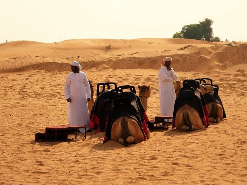 Vereinigte Arabische Emirate -  - 