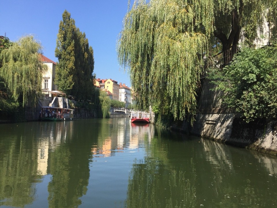 Slowenien - Laibach - Auf dem Fluss idyllische Landschaft mitten in der Stadt