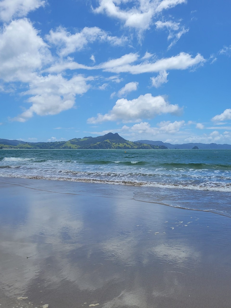 Neuseeland - Cooks Beach - 