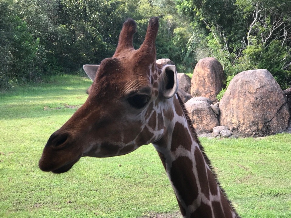 Vereinigte Staaten - Jacksonville - 