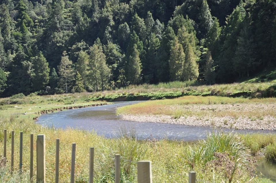 Neuseeland - Waitomo-Distrikt - Idyllisch 