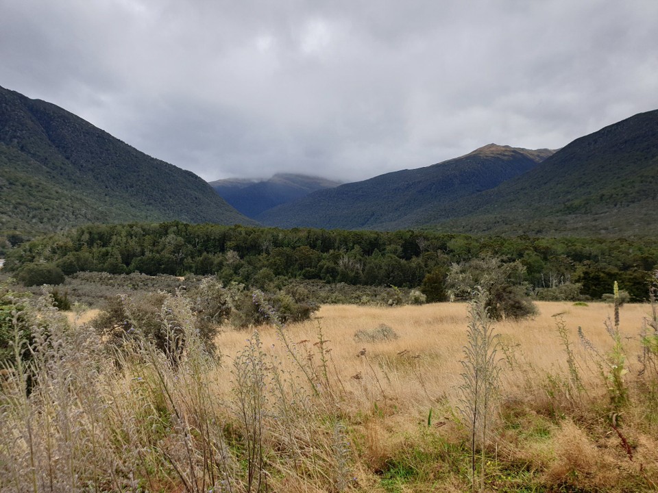 Neuseeland - Kaikoura - 