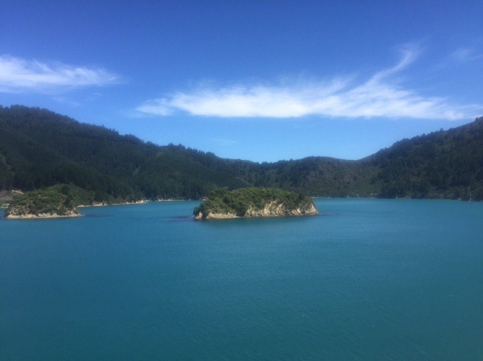 Neuseeland - Wellington - 