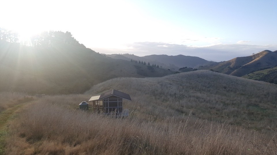 Neuseeland - Mangatawhiri - Mein Kuti mitten im nirgendwo.
