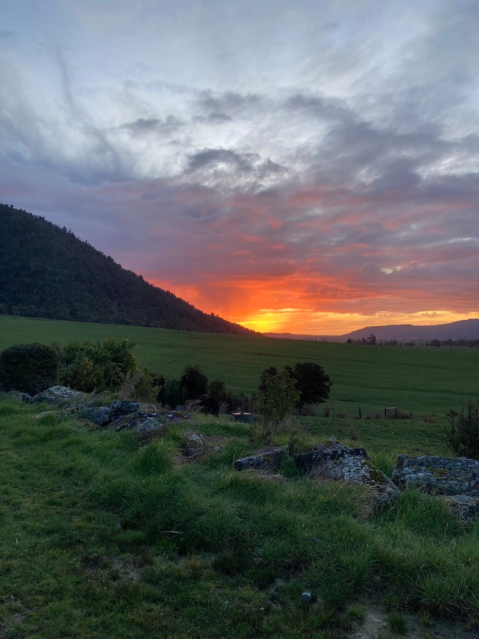 Neuseeland - Harihari - 