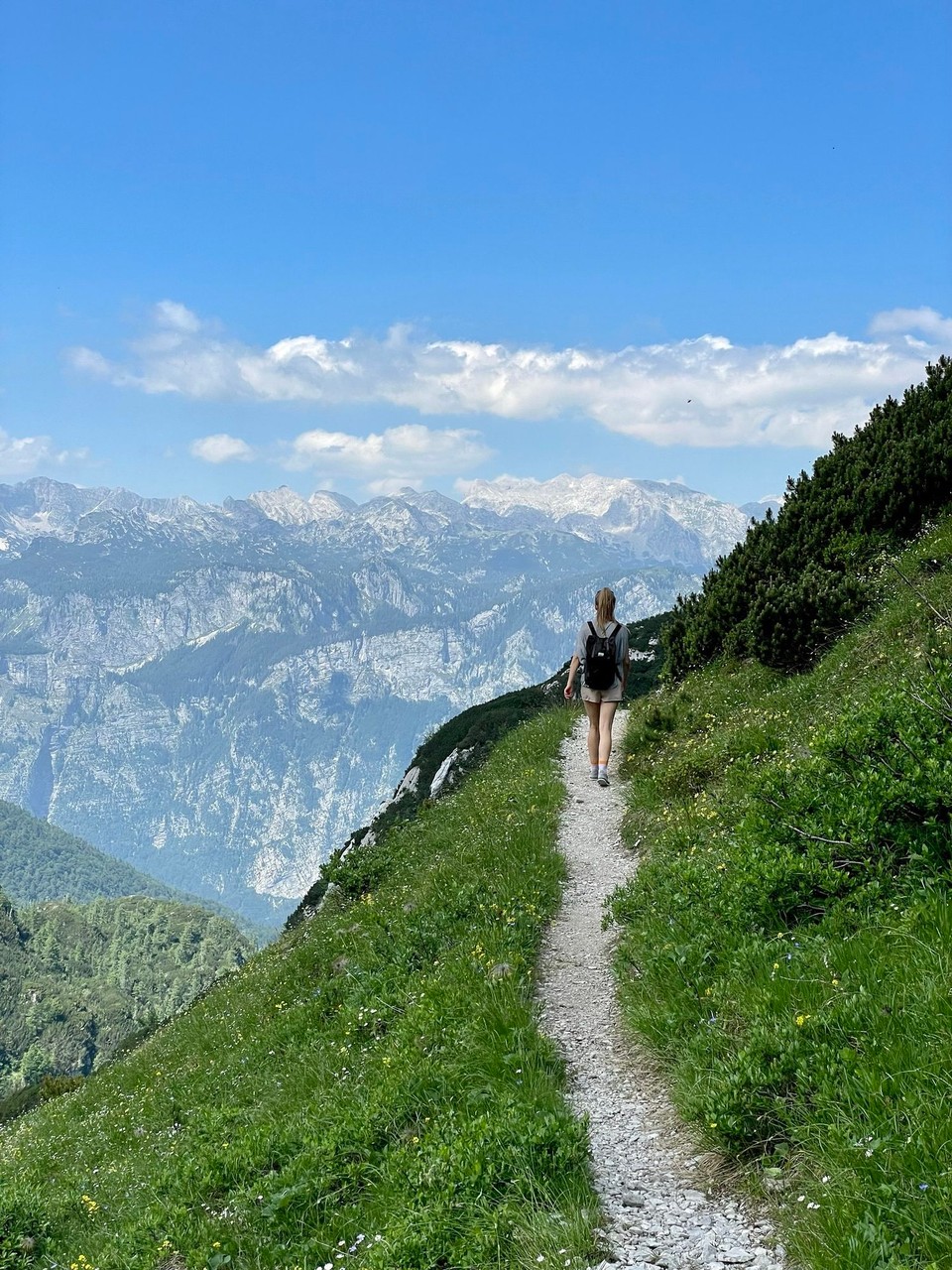 Slowenien - Bohinj - 