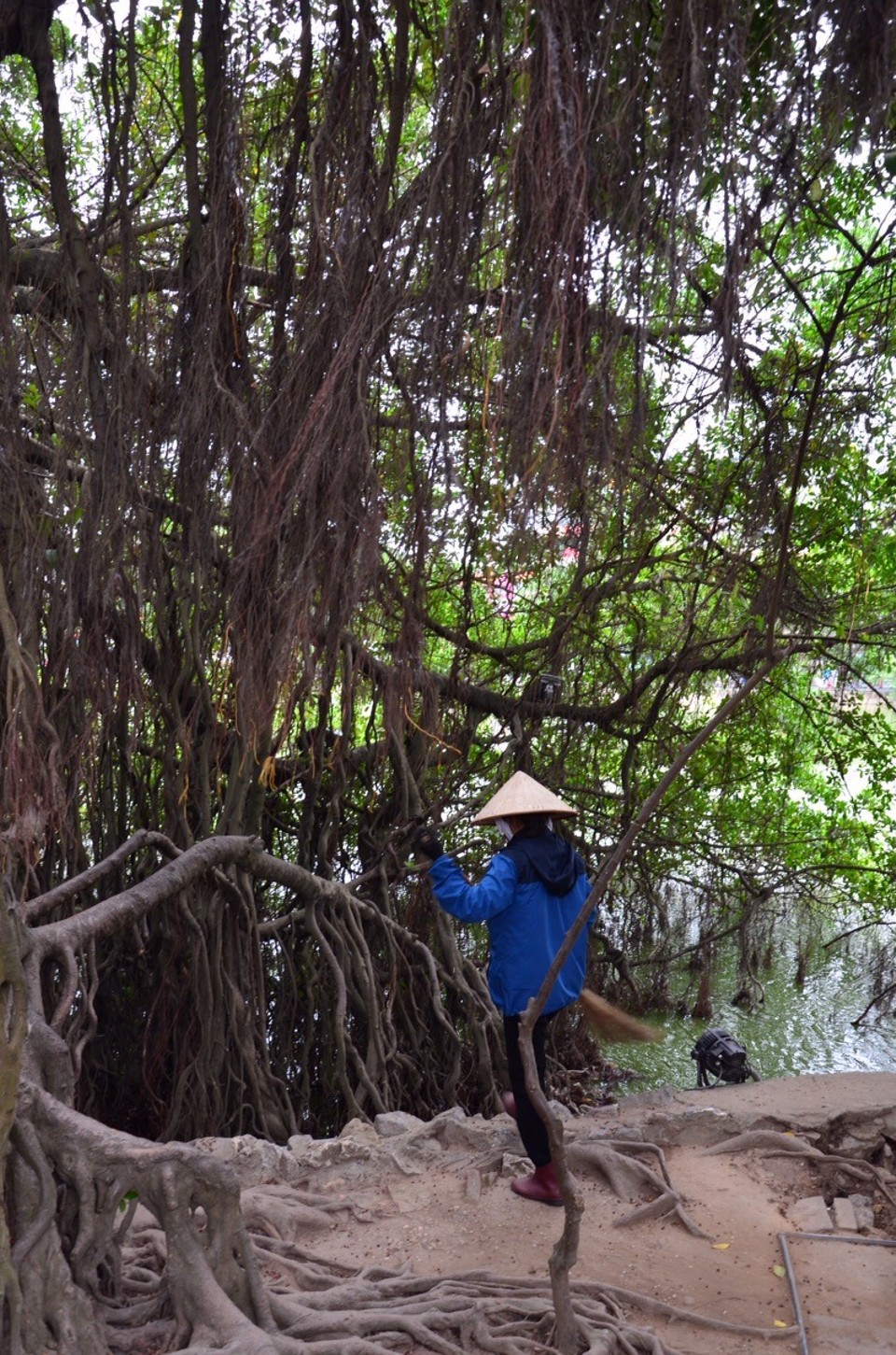 Vietnam - Hanoi - 