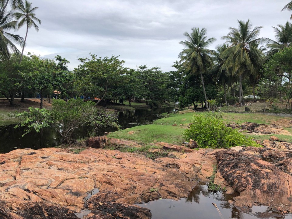 Brasilien - Mata de São João - Umbassai