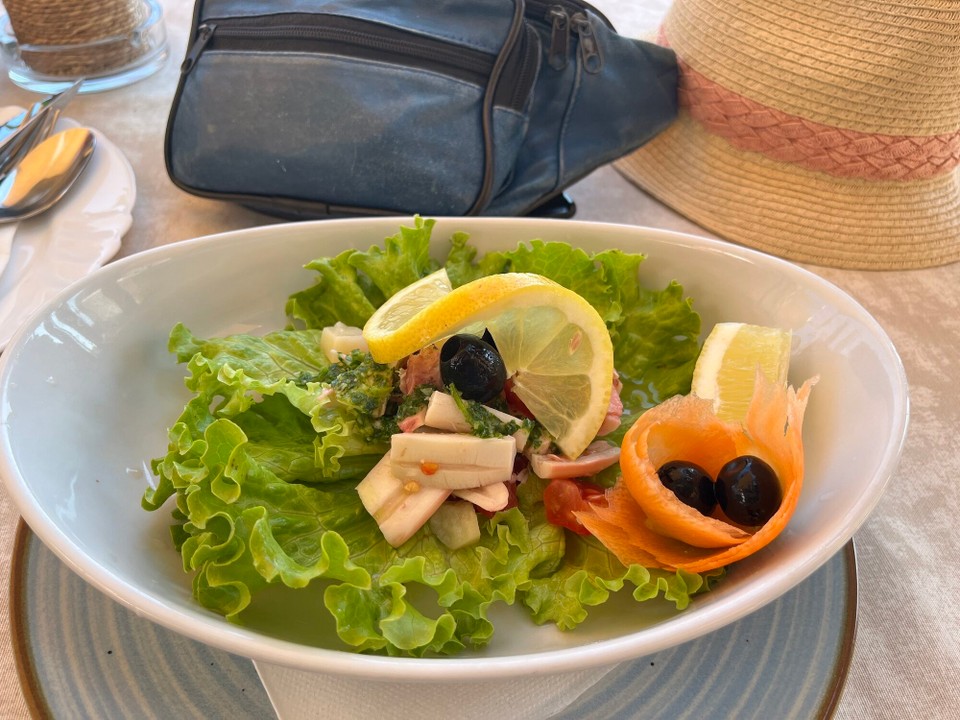 Kroatien - Novigrad - Oktopus Salat 