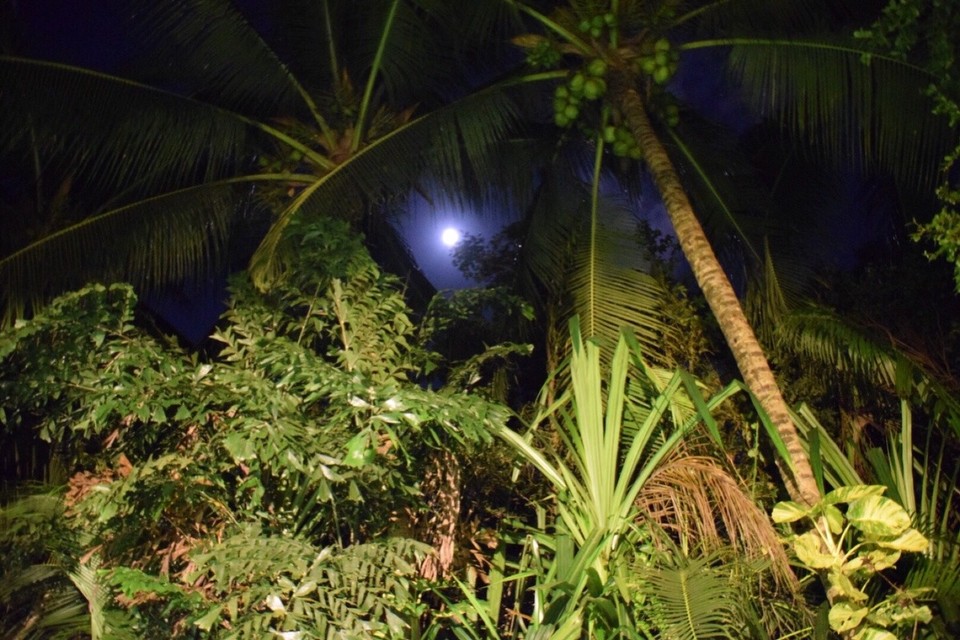 Mexiko - Cancún - Wir wünschen allen eine gute Nacht 🌙 