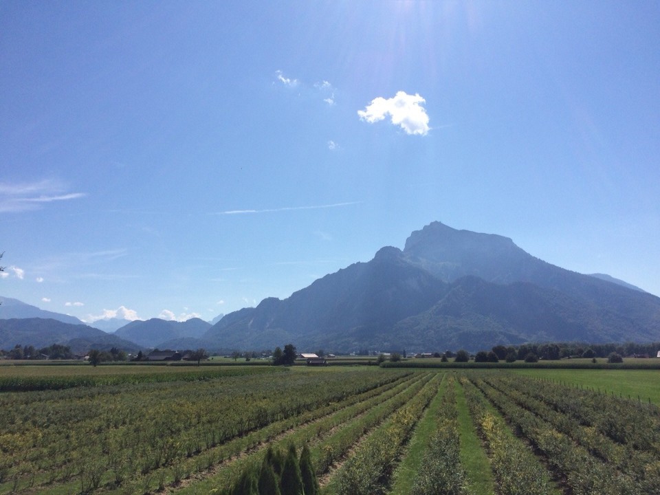 Österreich - Anif - 