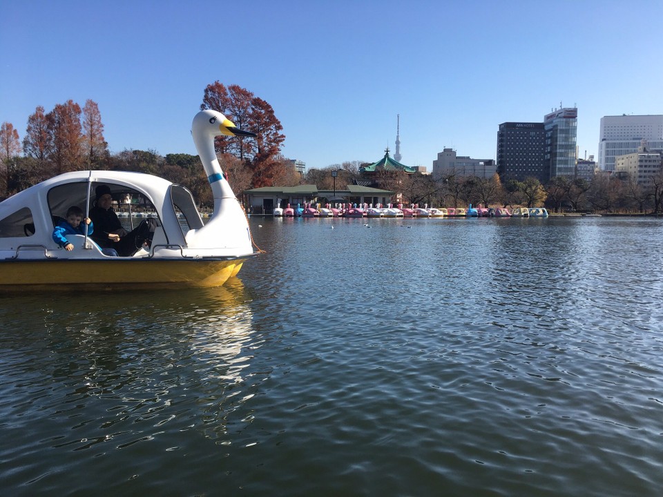 Japan - Taito-Ku - ... Schwänen 