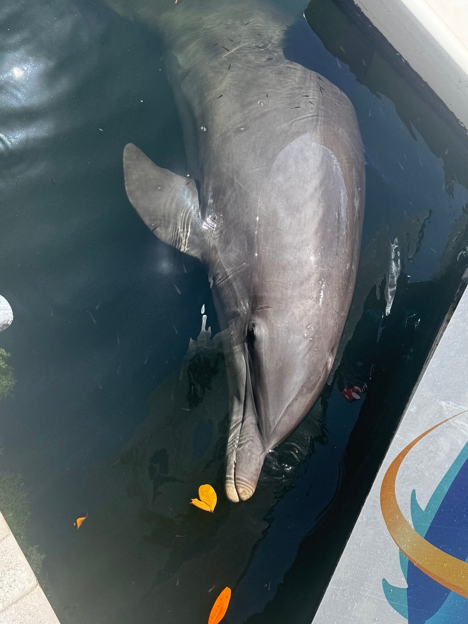 Vereinigte Staaten - Islamorada - 