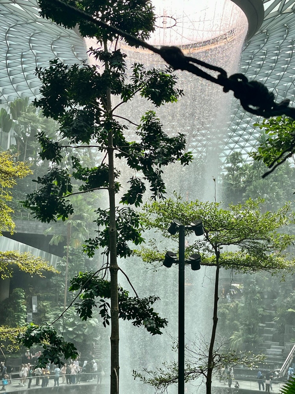 Singapur - Singapur - 