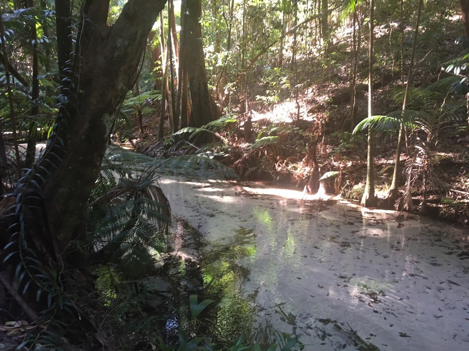  - Ausztrália, Wanggoolba Creek - 