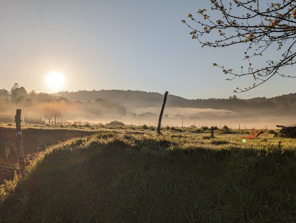 Spanien - O Pino - Um diese Zeit liegt noch Nebel über den Wiesen.