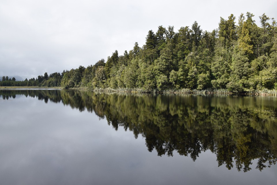 Neuseeland - Lake Matheson - 
